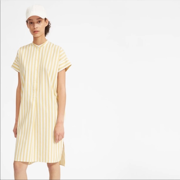 everlane striped shirt dress The Mini Jacquard Stripe Shirt Dress